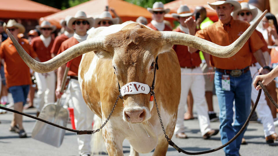 Texas and Bevo XV are ready for move to SEC.