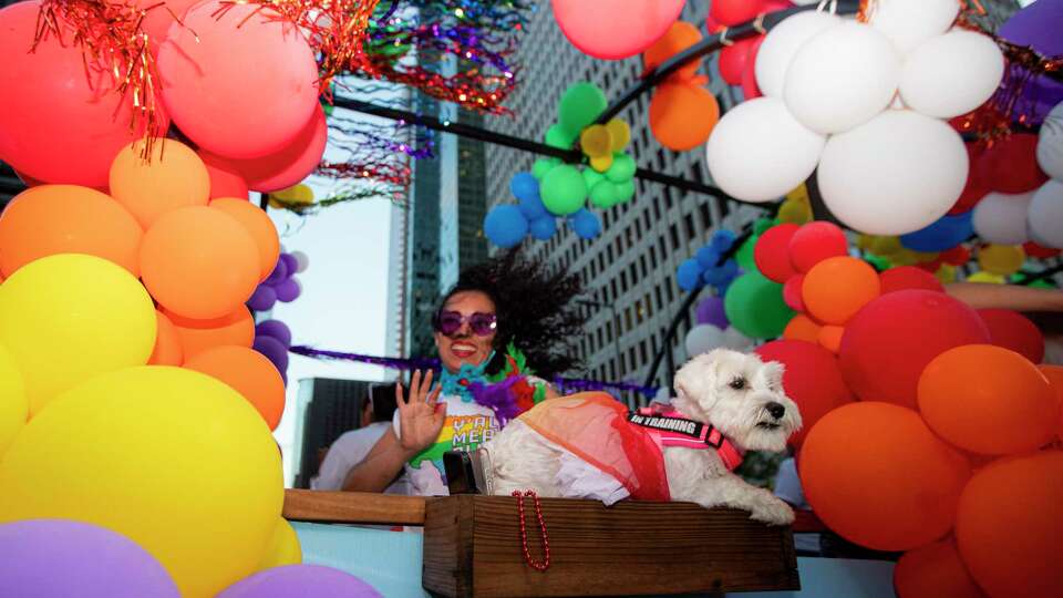 A dog sits on Harris County Precinct 2 Commissioner Adrian Garcia's office during the 46th Annual Official Houston LGBT+ Pride Celebration, Saturday, June 29, 2024, in Houston.