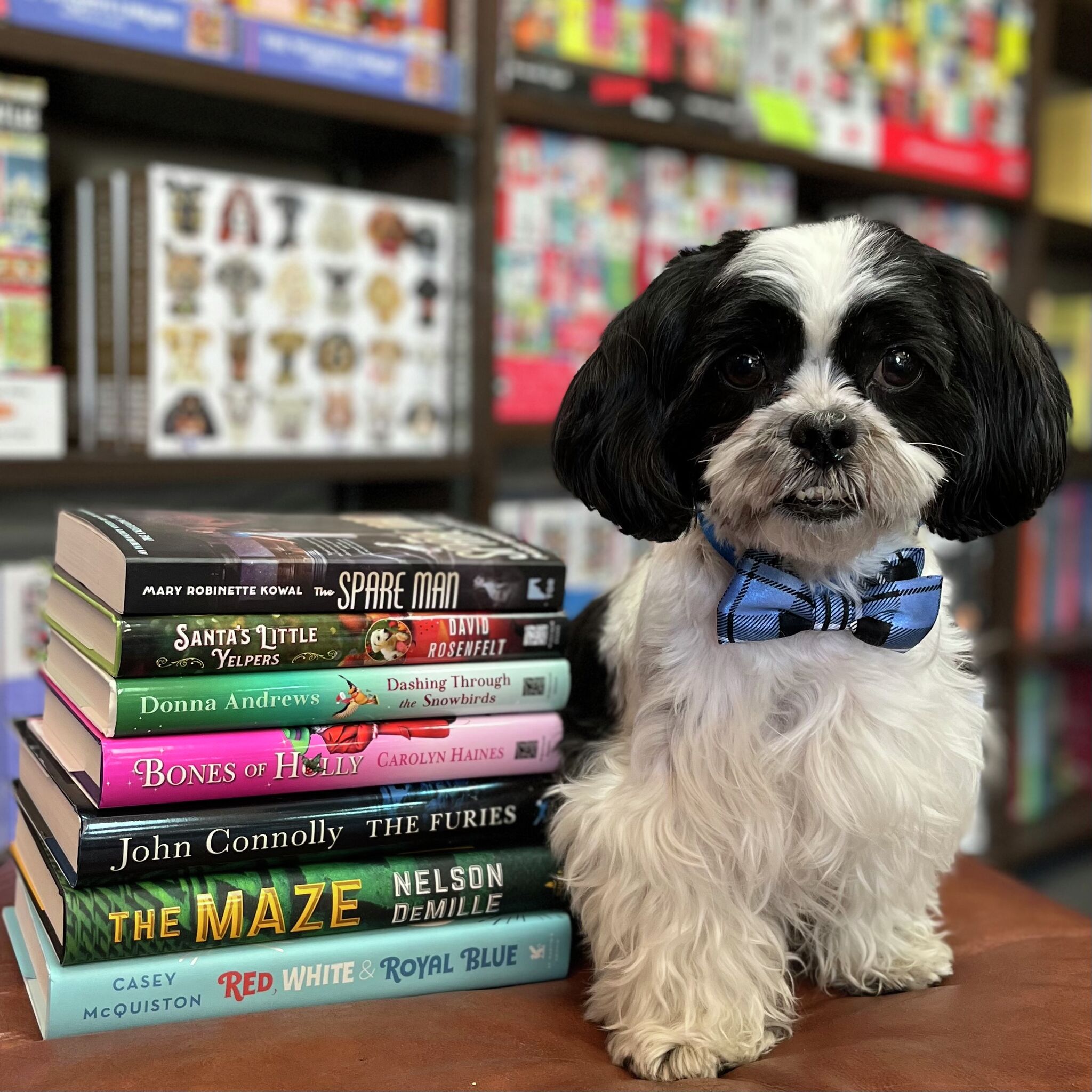 Forget bodega cats, meet Houston’s bookstore dogs