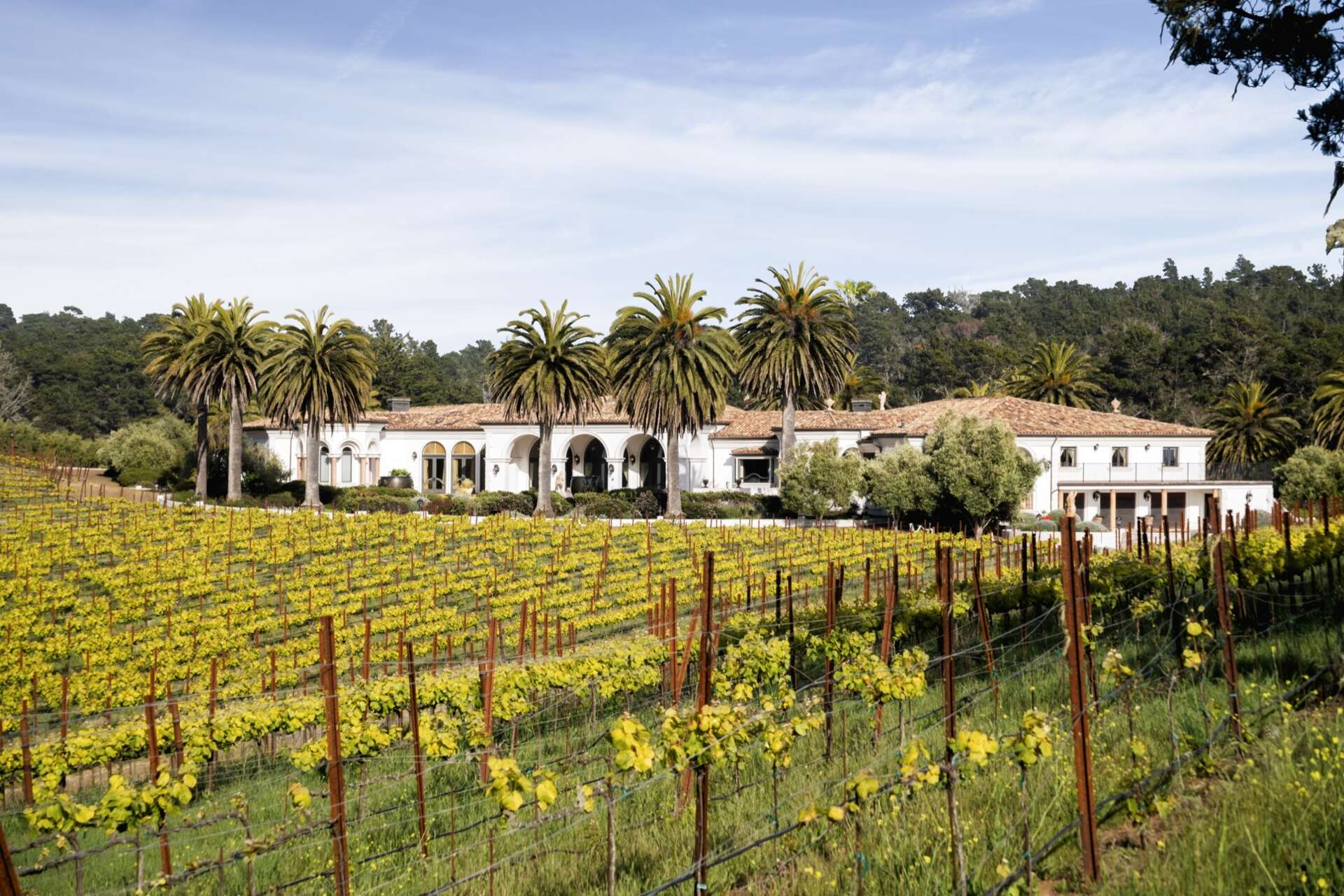 Moonstone Ranch Coastal California estate with vineyard and helipad drops to $28 milli