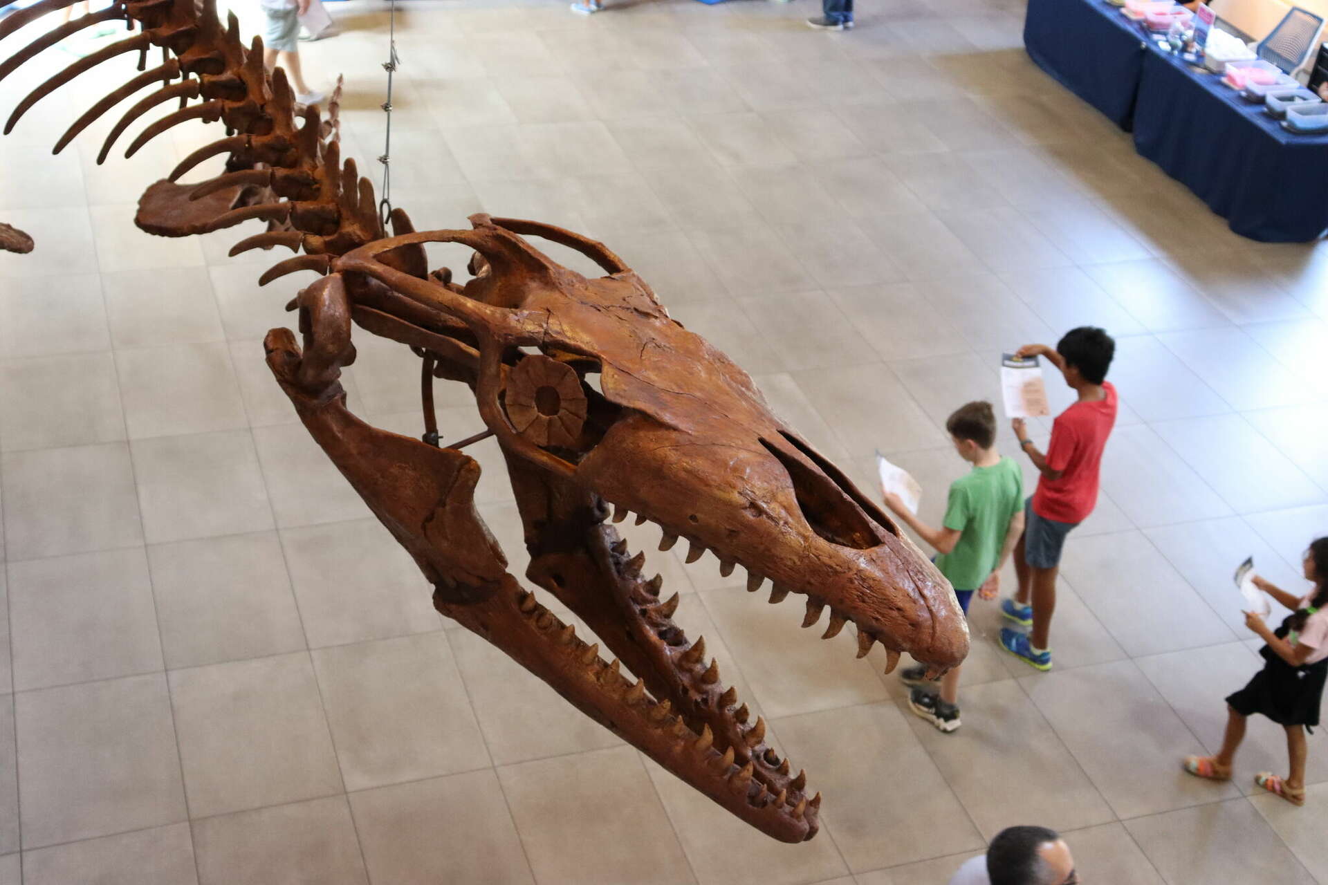 Travel back in time at new exhibit at Norwalk's Maritime Aquarium