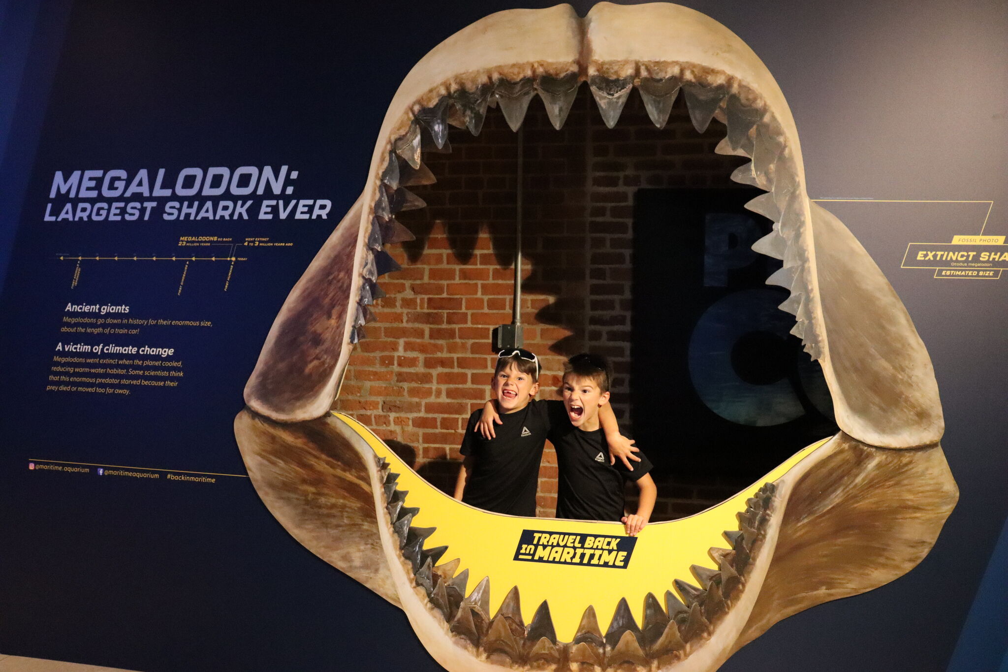 Norwalk’s Maritime Aquarium exhibit uncovers ‘mysteries’ hidden in Long Island Sound for 800M years