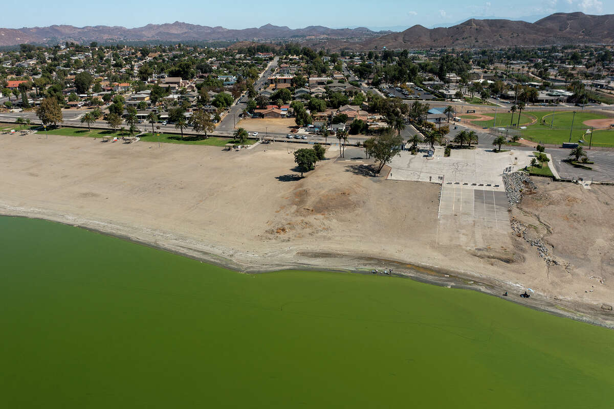 In an aerial view, green water is seen during a harmful algal bloom (HAB) of blue-green algae, also known as Cyanobacteria, at Lake Elsinore on August 25, 2022 in Lake Elsinore, California