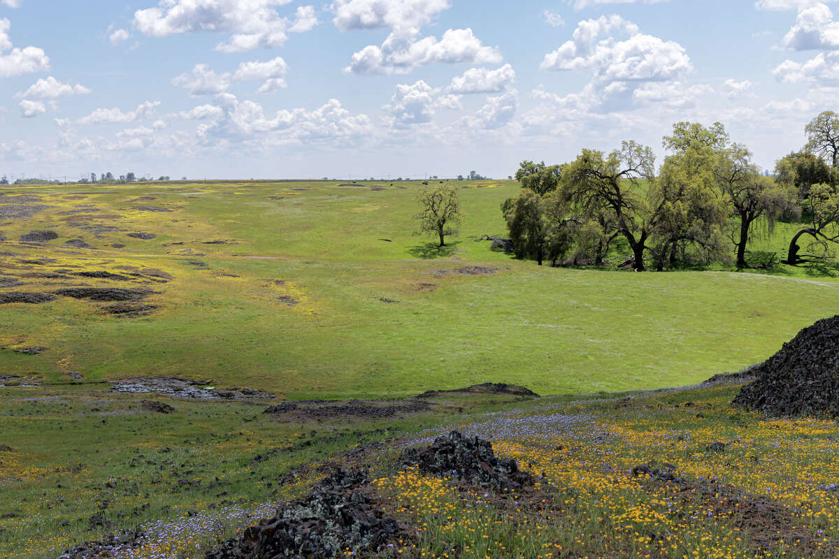 A view of the North Table Mountain Ecological Reserve in Butte County, Calif., near Oroville. 