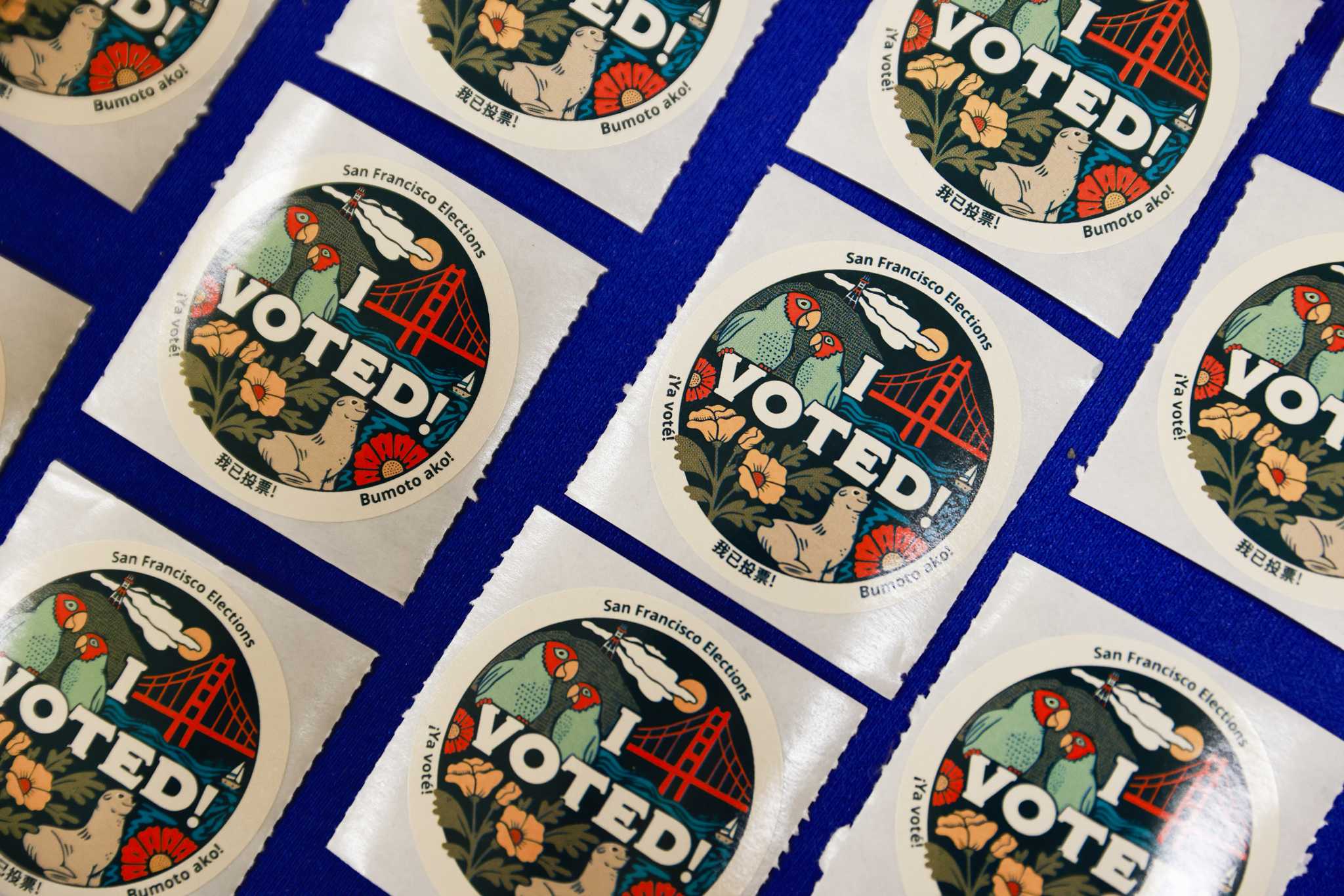 Californians Will Vote On These 10 Ballot Measures In November