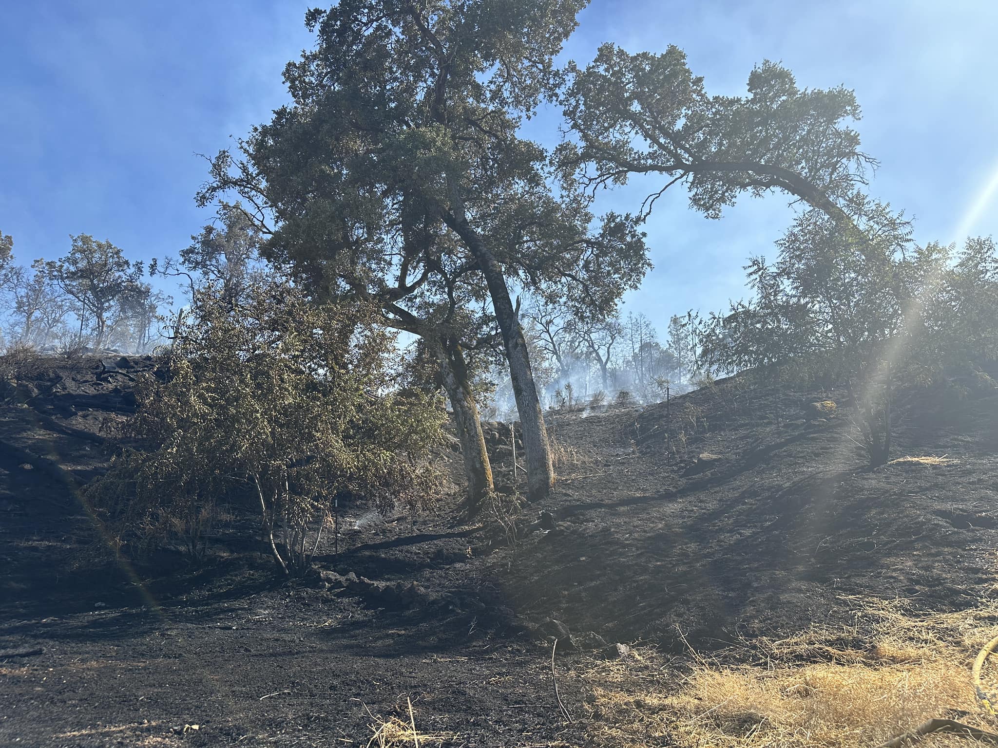 Man Accused Of Starting Northern California Wildfire With Weed Whacker