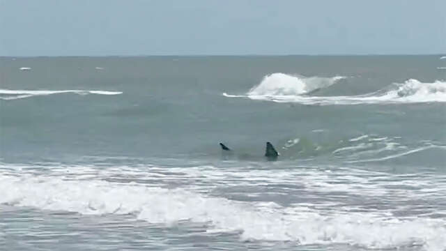 South Padre Island shark attack victims talk about scary experiences