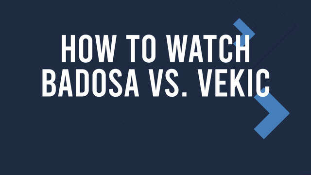 Badosa Vs. Vekic Match Live Stream & Wimbledon Tv Channel