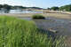 Pear Tree Point Beach in Darien, Conn., photographed in July 2024.