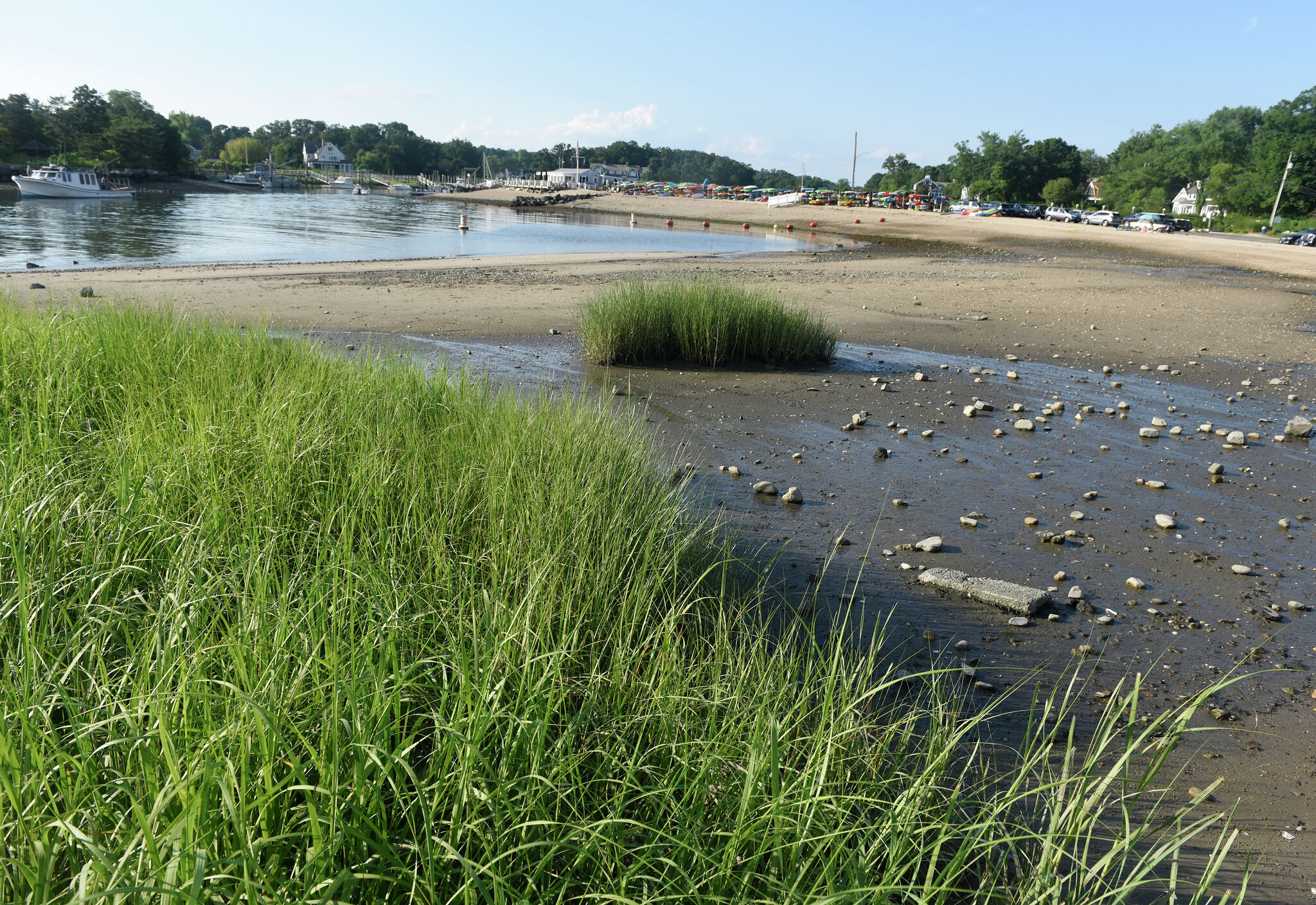 Climate-fueled storms overtake sea-level rise as biggest threat to CT salt marshes, study finds