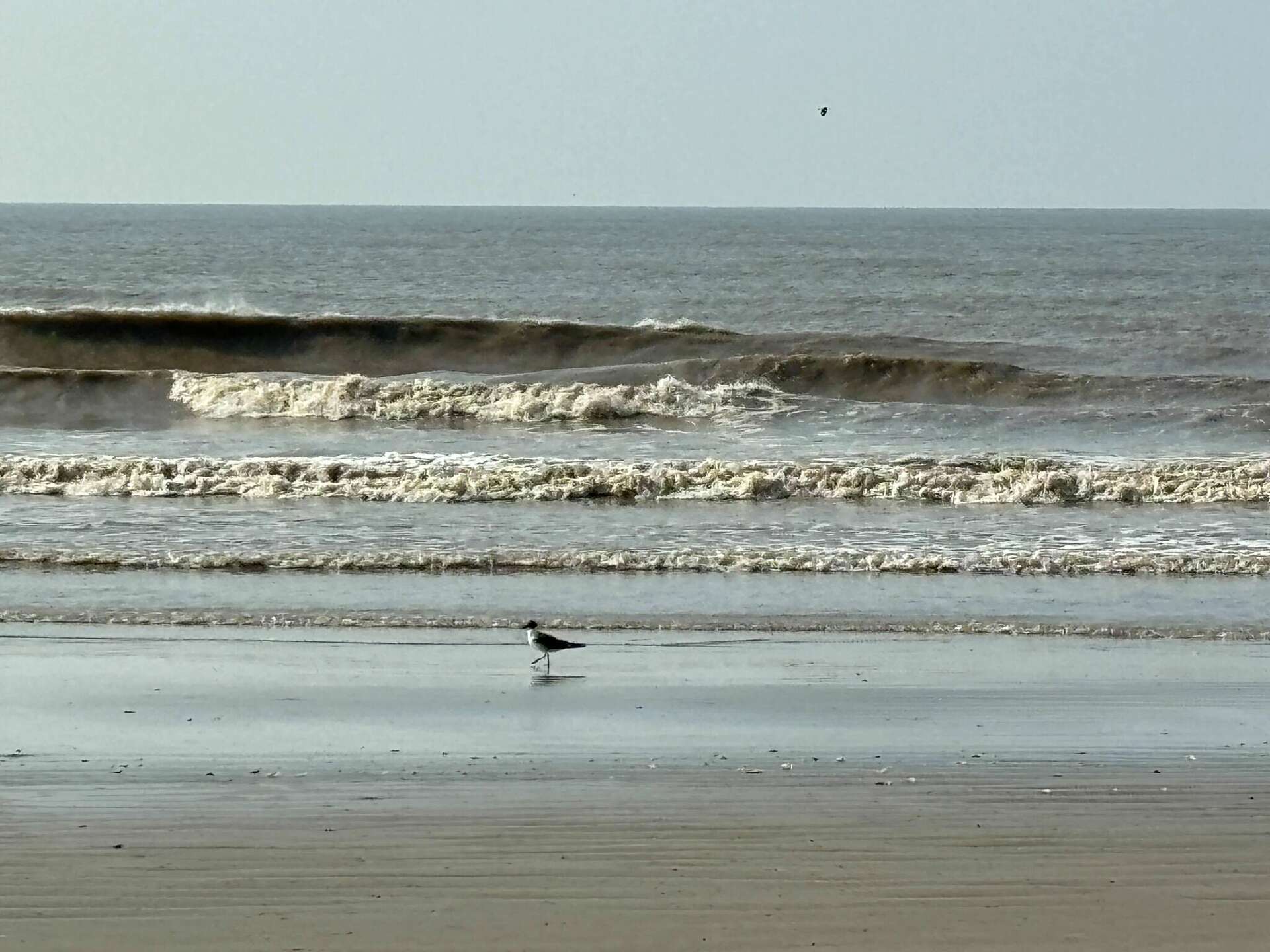 Hurricane Beryl paints Texas Gulf Coast waters rusty brown