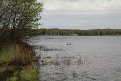 Bajista John Taylor comparte secretos de Duran Duran