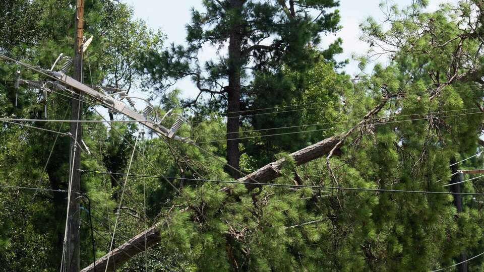 A tree lays across a section of power lines along FM 1314 after Hurricane Beryl, Wednesday, July 10, 2024, in Conroe.