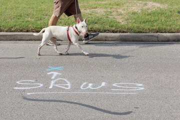 How SAWS is working to fix its 21 billion-gallon water loss problem