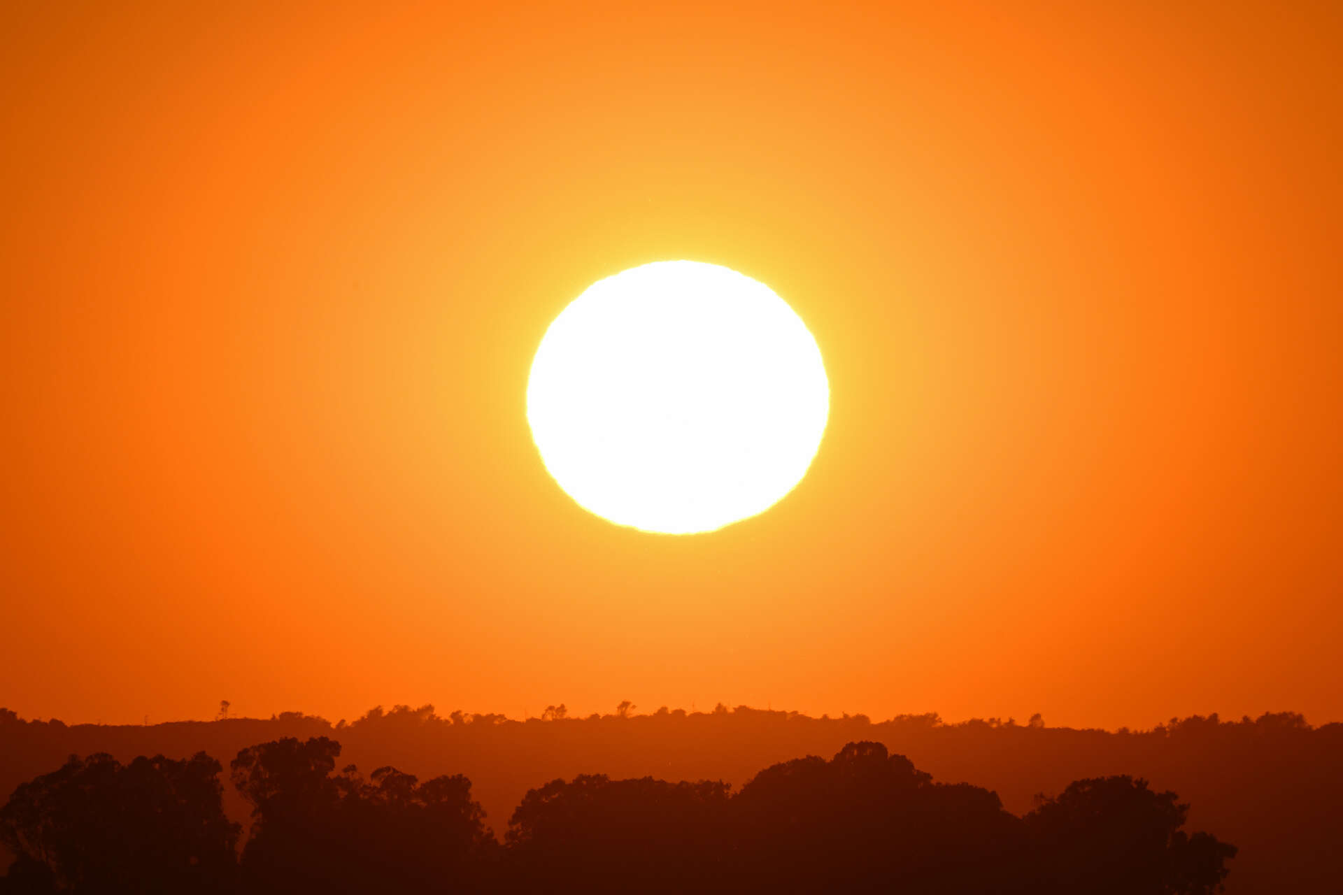 Bay Area county reports 19 deaths associated with marathon heat wave