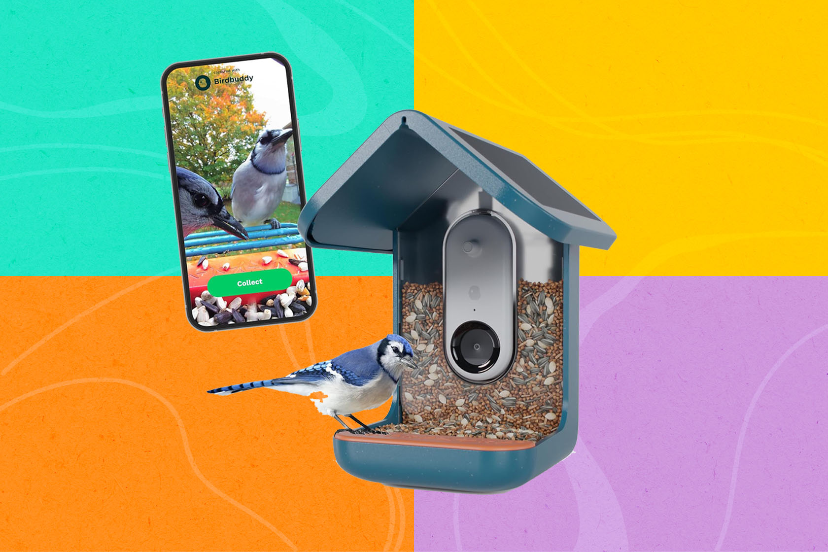 The Bird Buddy smart bird feeder is 60 off for Prime Day