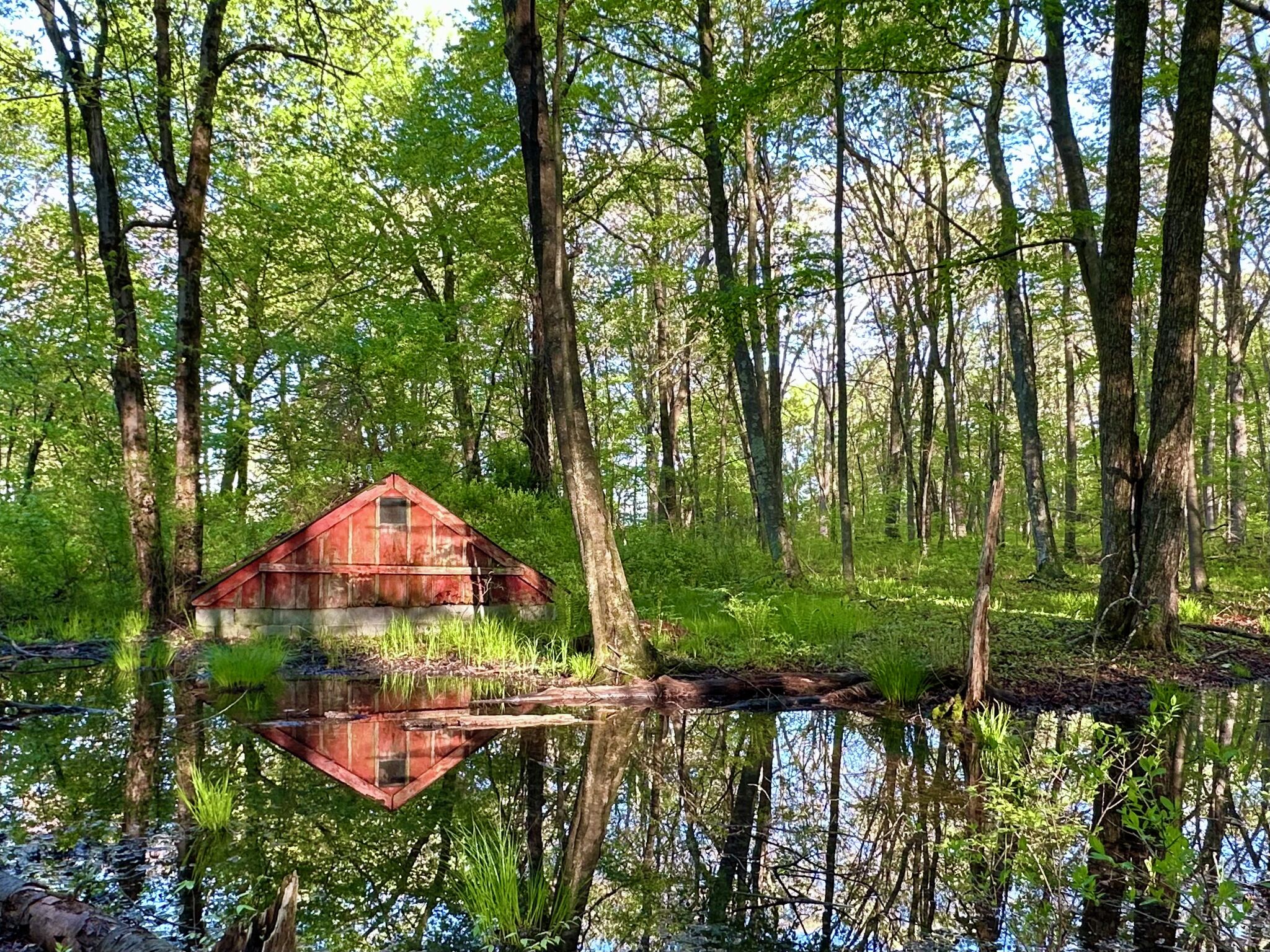 Bridgewater Land Trust partners with landowner to preserve 28 acres