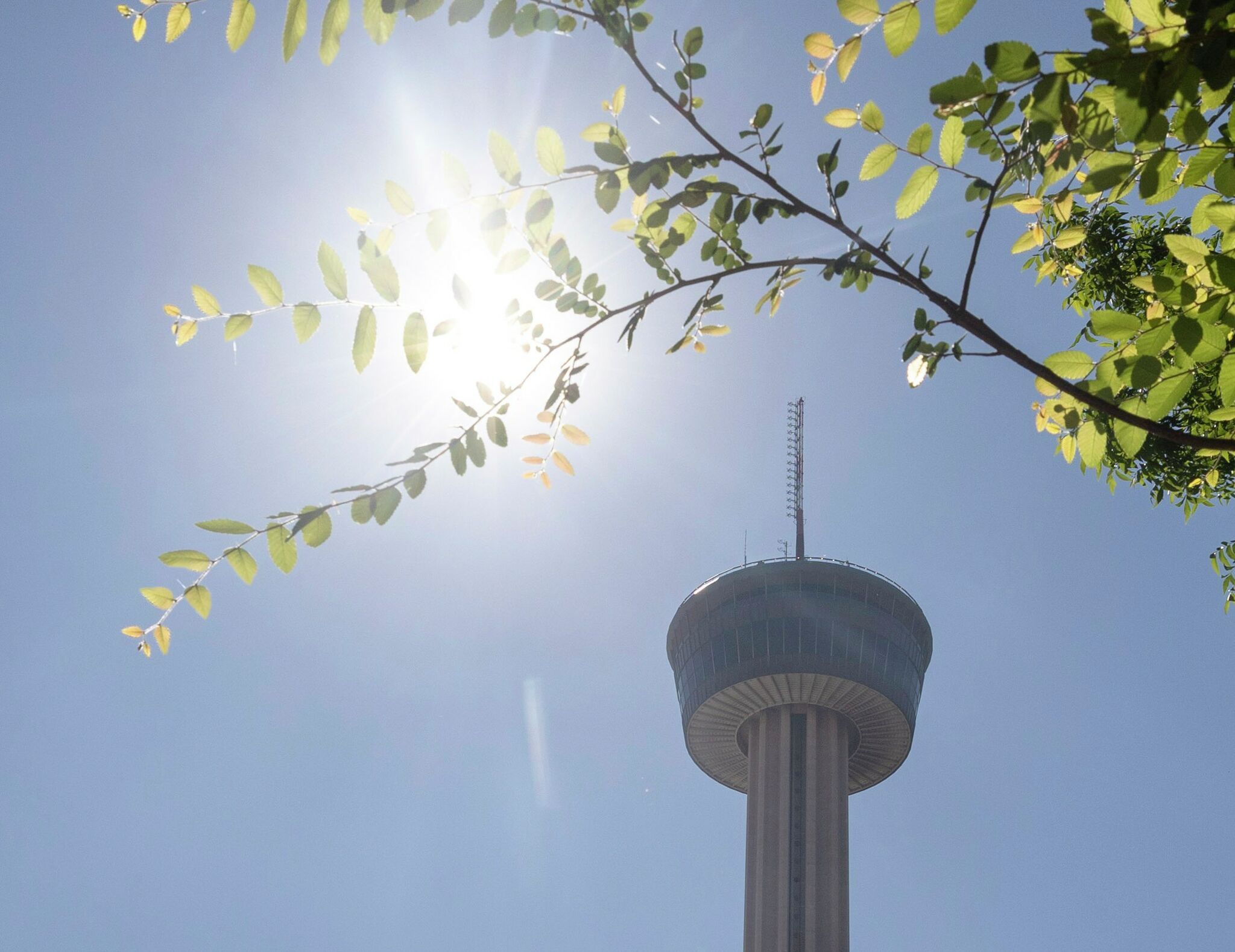 Heat wave will make South Texas hotter than the Sahara Desert