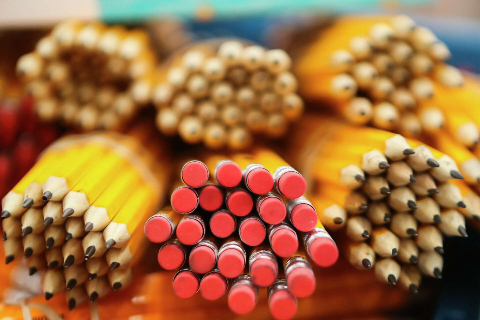 Conroe ISD will roll out the new Bluebonnet curriculum. What to expect