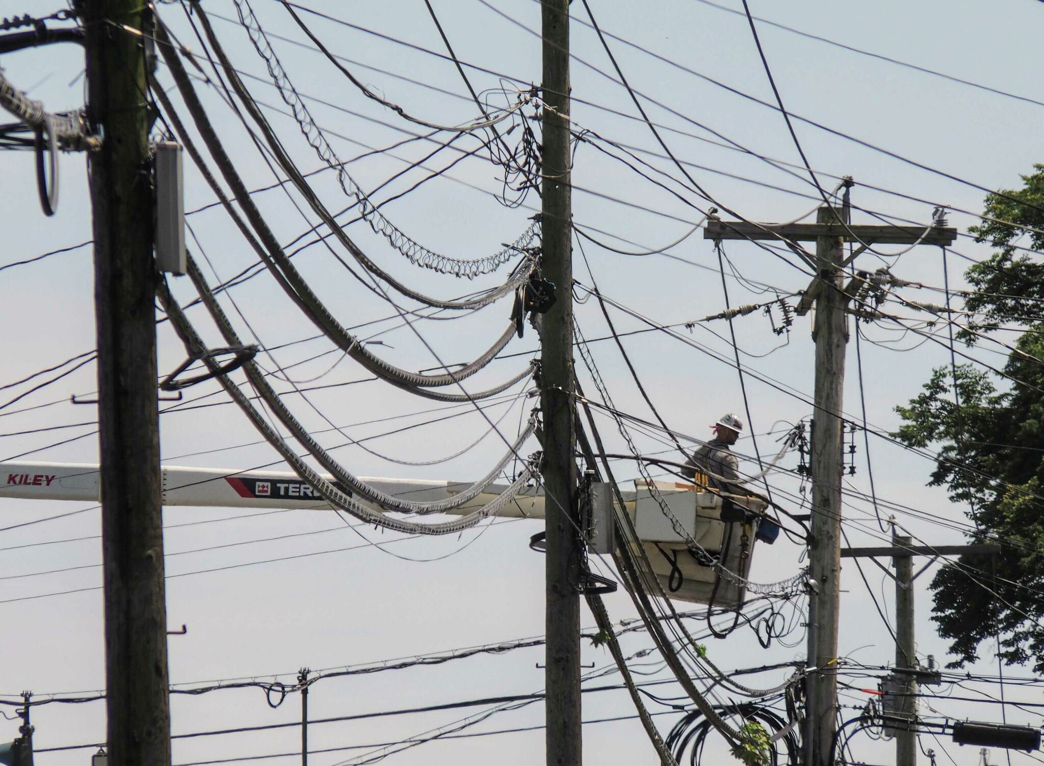Power restored in New Haven after hundreds of outages overnight