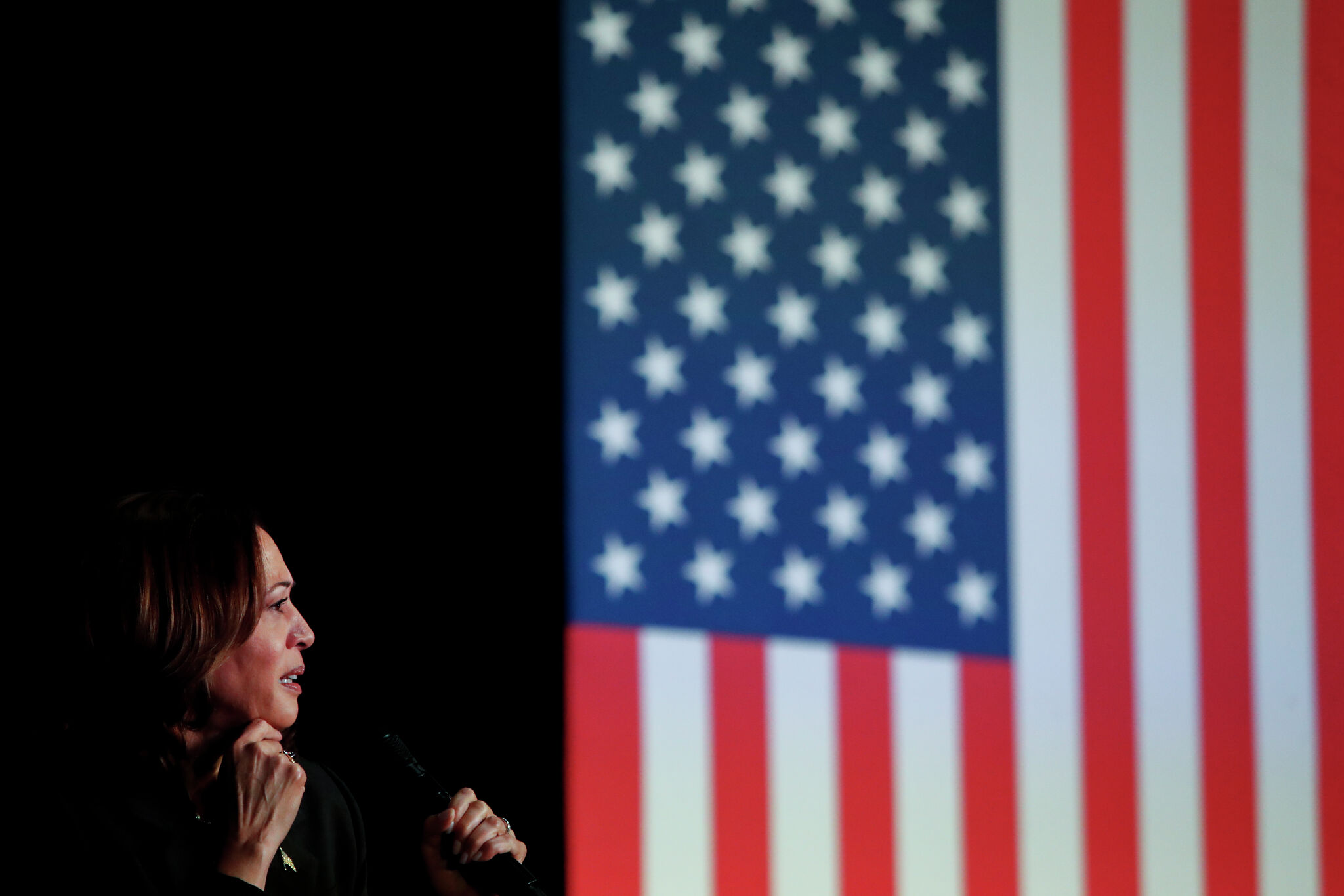 Can Kamala Harris unite Democrats? Here’s what’s working in her favor