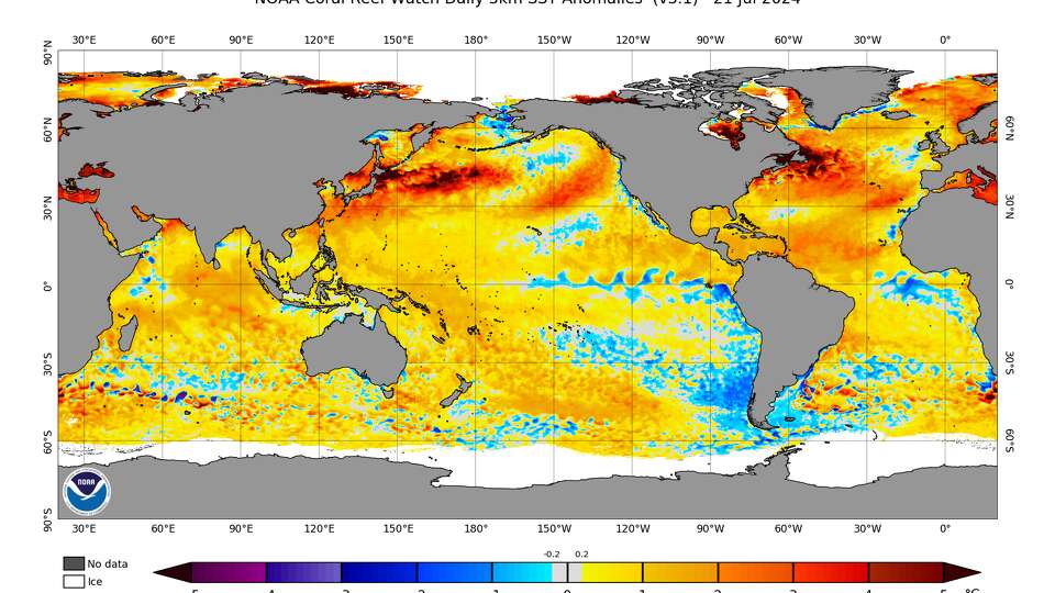 Shown are current sea surface temperature anomalies across the globe, according to the National Oceanic and Atmospheric Administration. The blue swirls found off the west coast of South America indicate where cooler water is surging toward the surface, a signal that La Niña is emerging.