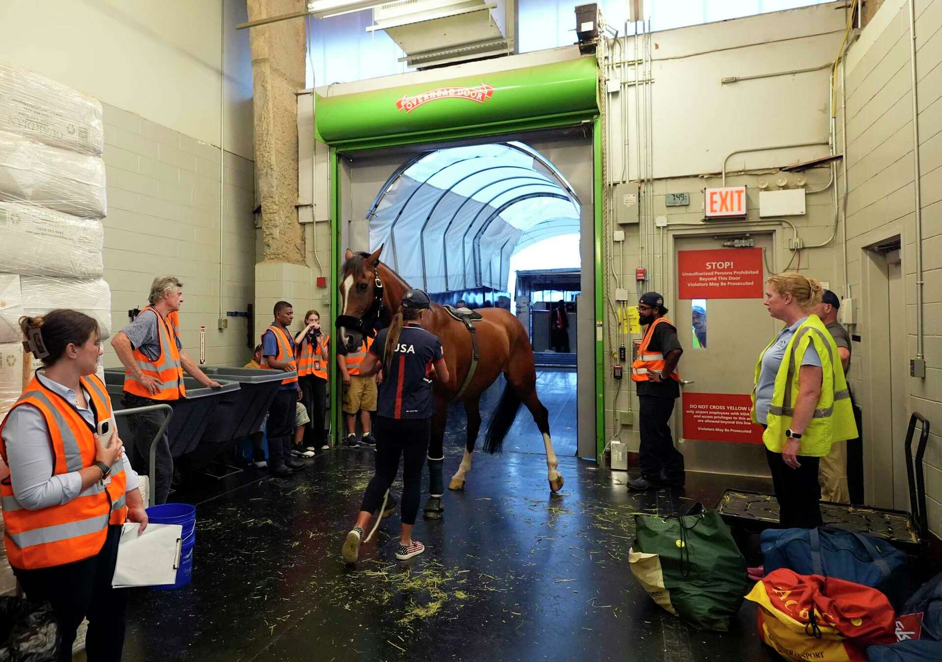 Horses take to the air with passports and carryons ahead of equestrian  eventing at Paris Olympics