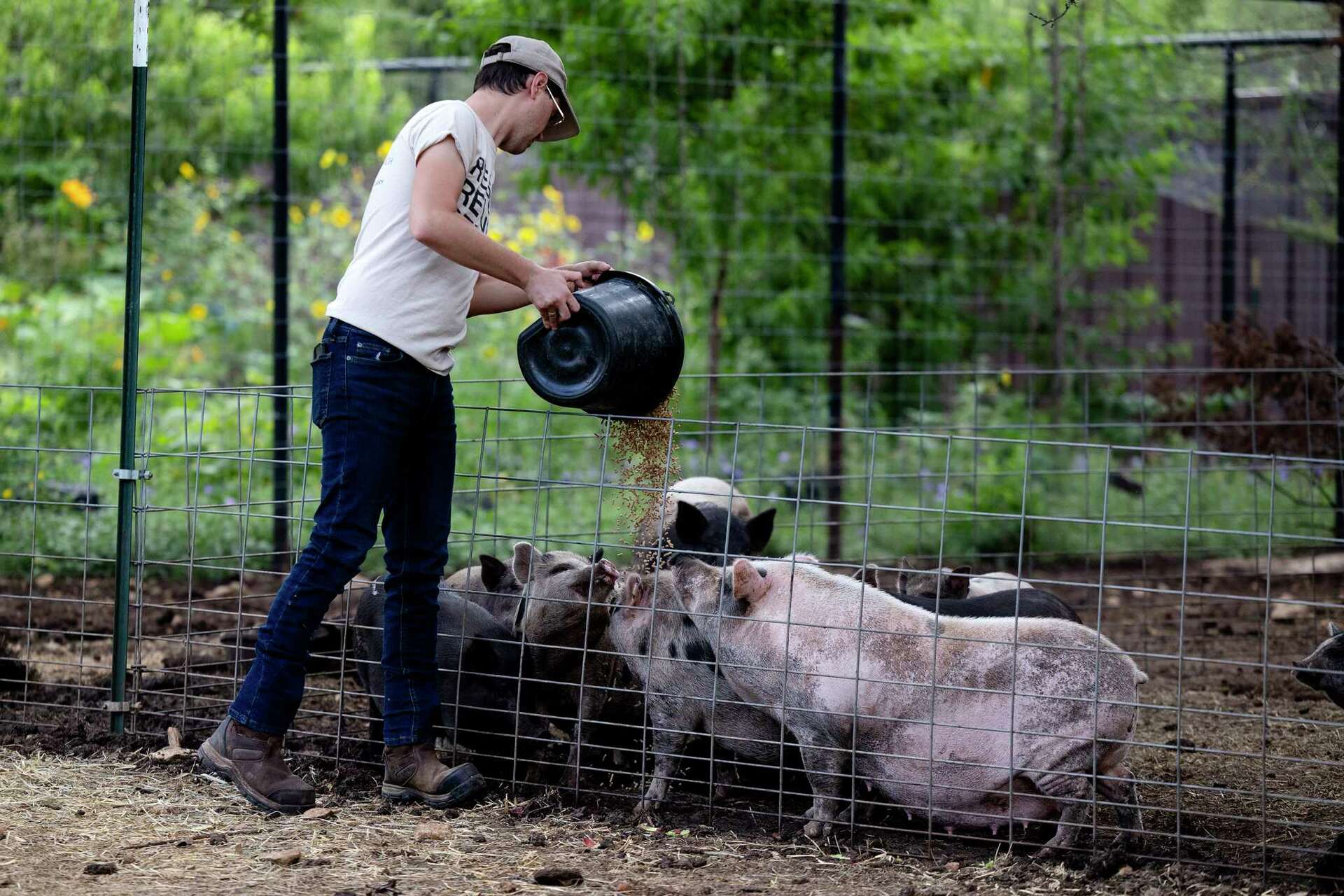 Winding Branch Ranch provides home for rescued farm animals