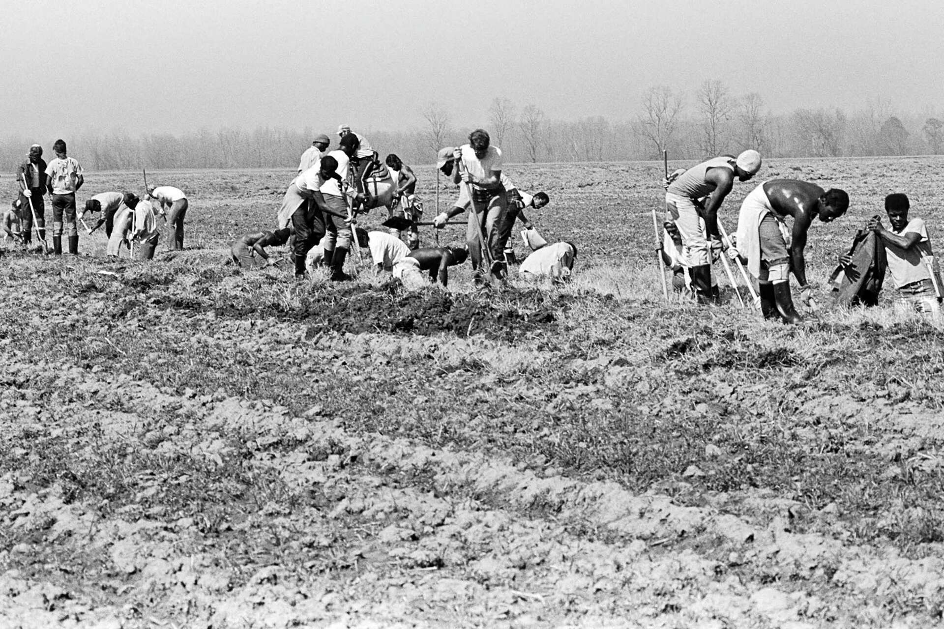 Prisoners fight against working in heat on former slave plantation, raising  hope for change in South