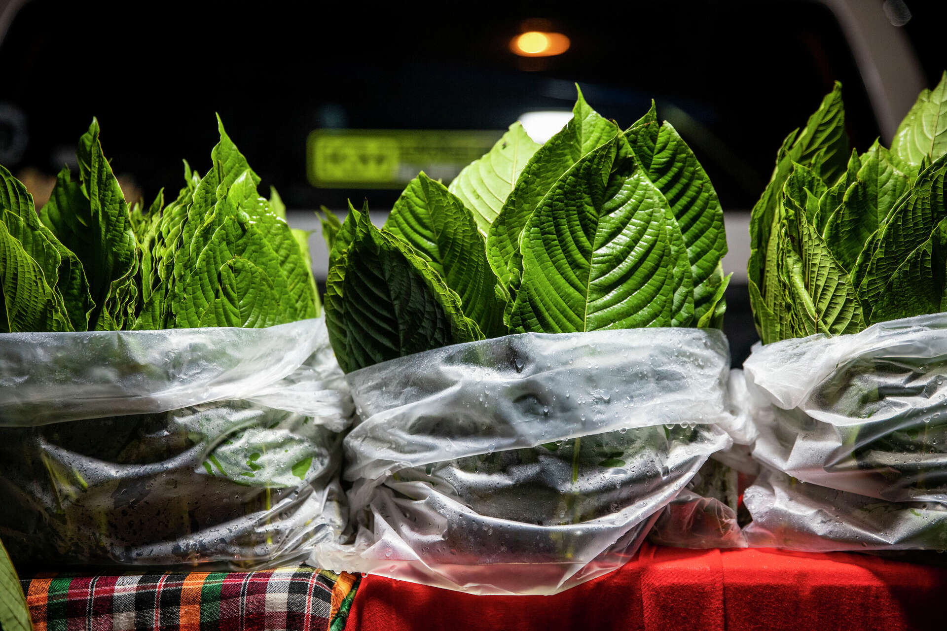 What is kratom and what does it do?