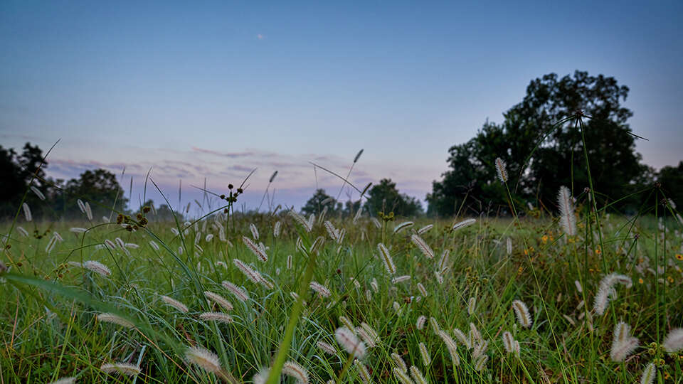 Wilbow Corp. is developing the Bergamo community north of Stockdick School Road in the north Katy area.