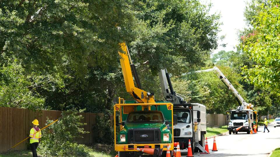 Workers with Davey Tree trim trees from utility lines along Champion Forest Tuesday, July 16, 2024, in Spring.