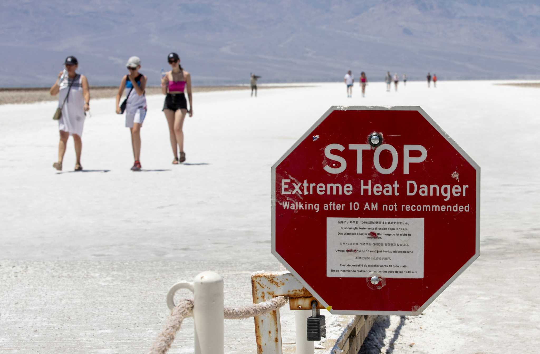 La vida y muerte en el calor: cuando la temperatura del planeta alcanza  máximos históricos