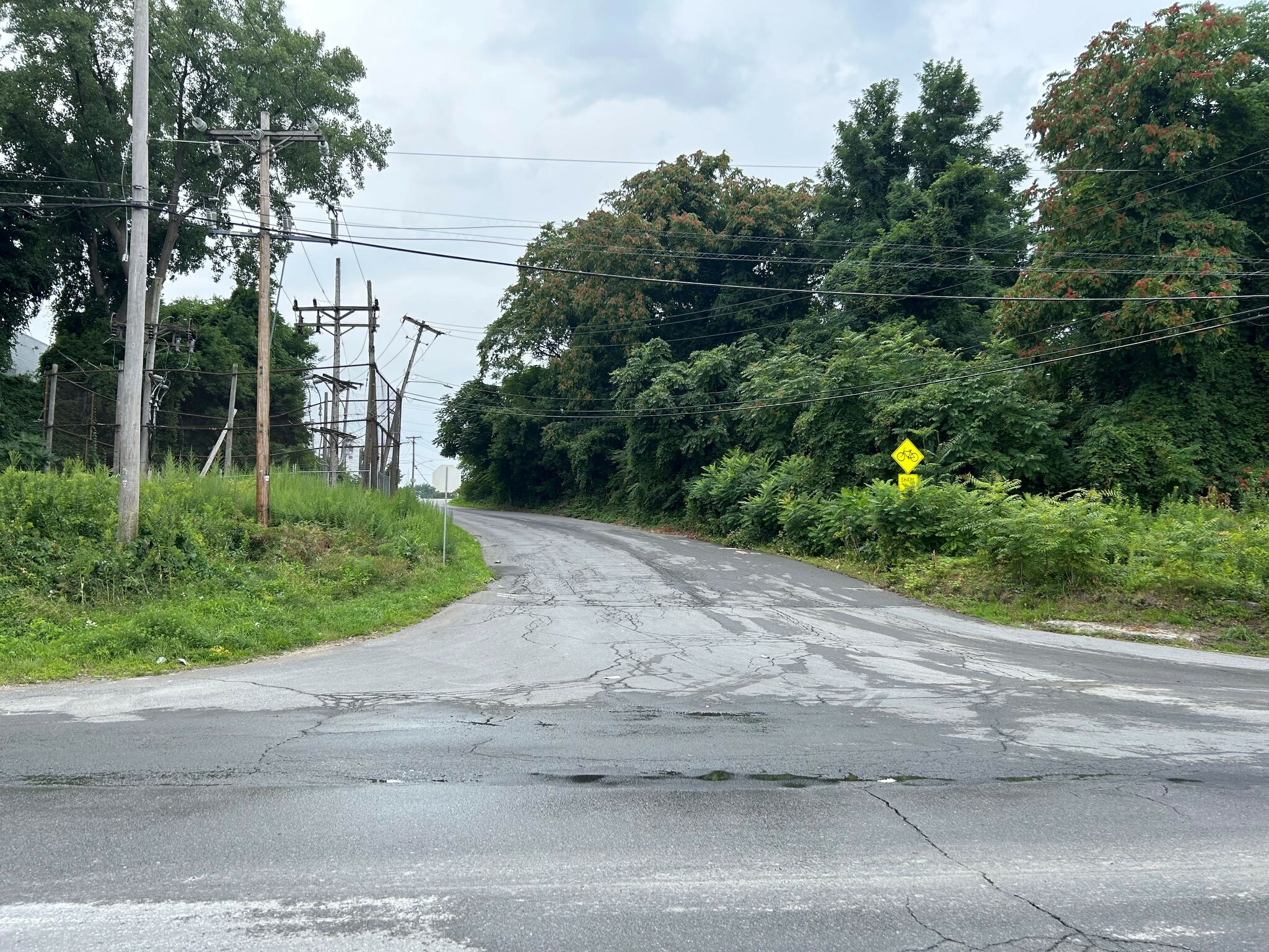 Man found dead on Albany street was stabbed to death, police say