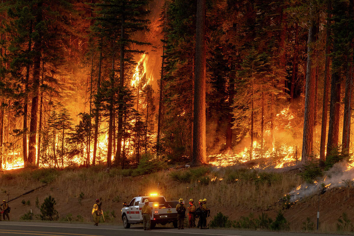 Flames quickly grow as firefighters set a backfire on the eastern front of the Park Fire, which has grown to 360,141 acres and is 12 percent contained, on July 28, 2024 near Chico, California.