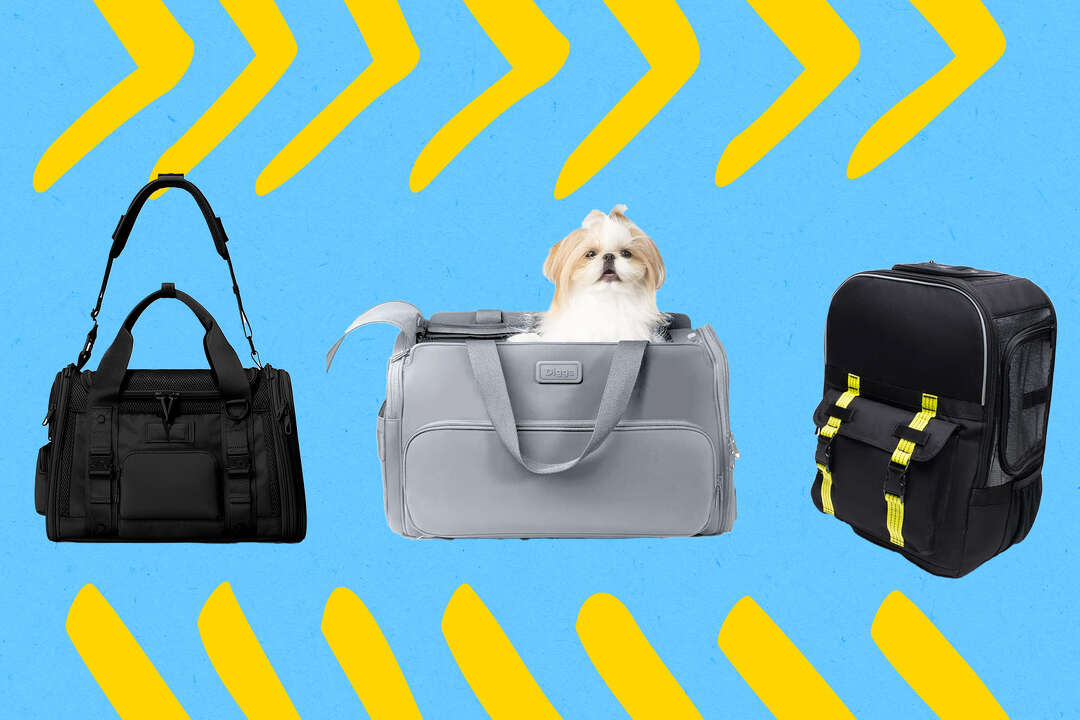 View of The best airline-approved pet carriers of 2025