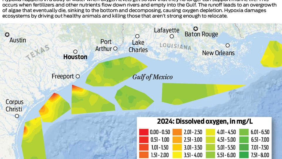 Explainer for hypoxia in the Gulf of Mexico