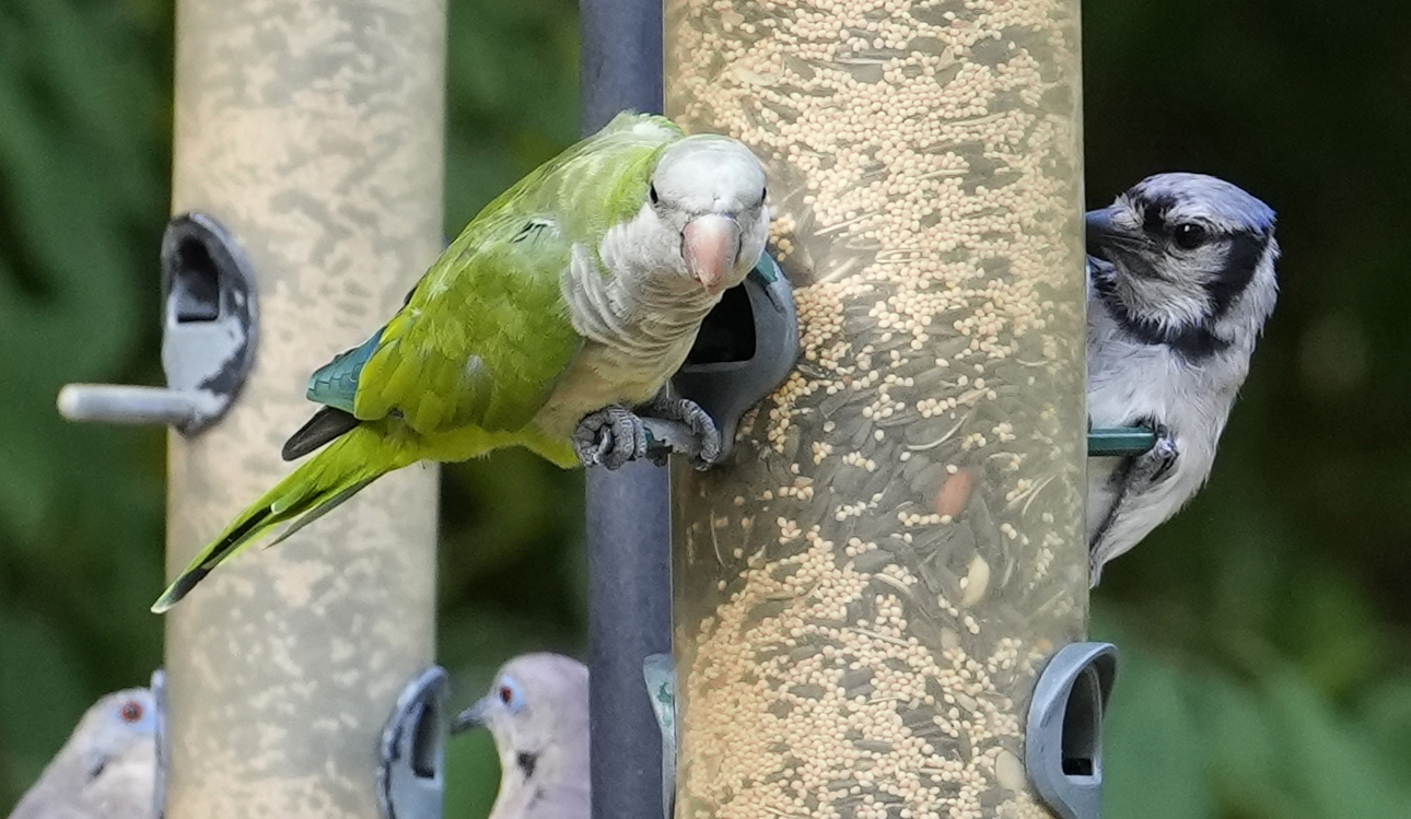 https://s.hdnux.com/photos/01/41/20/75/25497468/3/rawImage.jpg