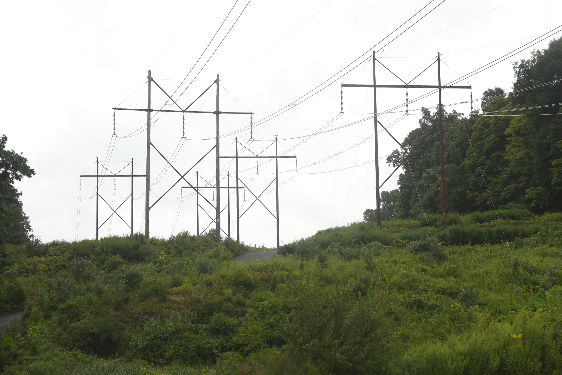 CT residents see power outages as storm brings heavy rain, high winds