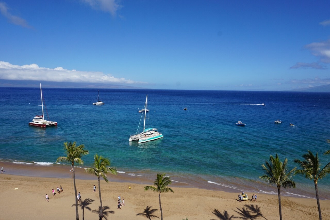 Boat tours off a Hawaii beach may have to shut down