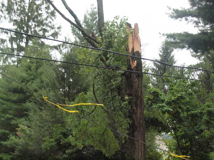 Outages in CT mostly restored after storms from Debby cut power
