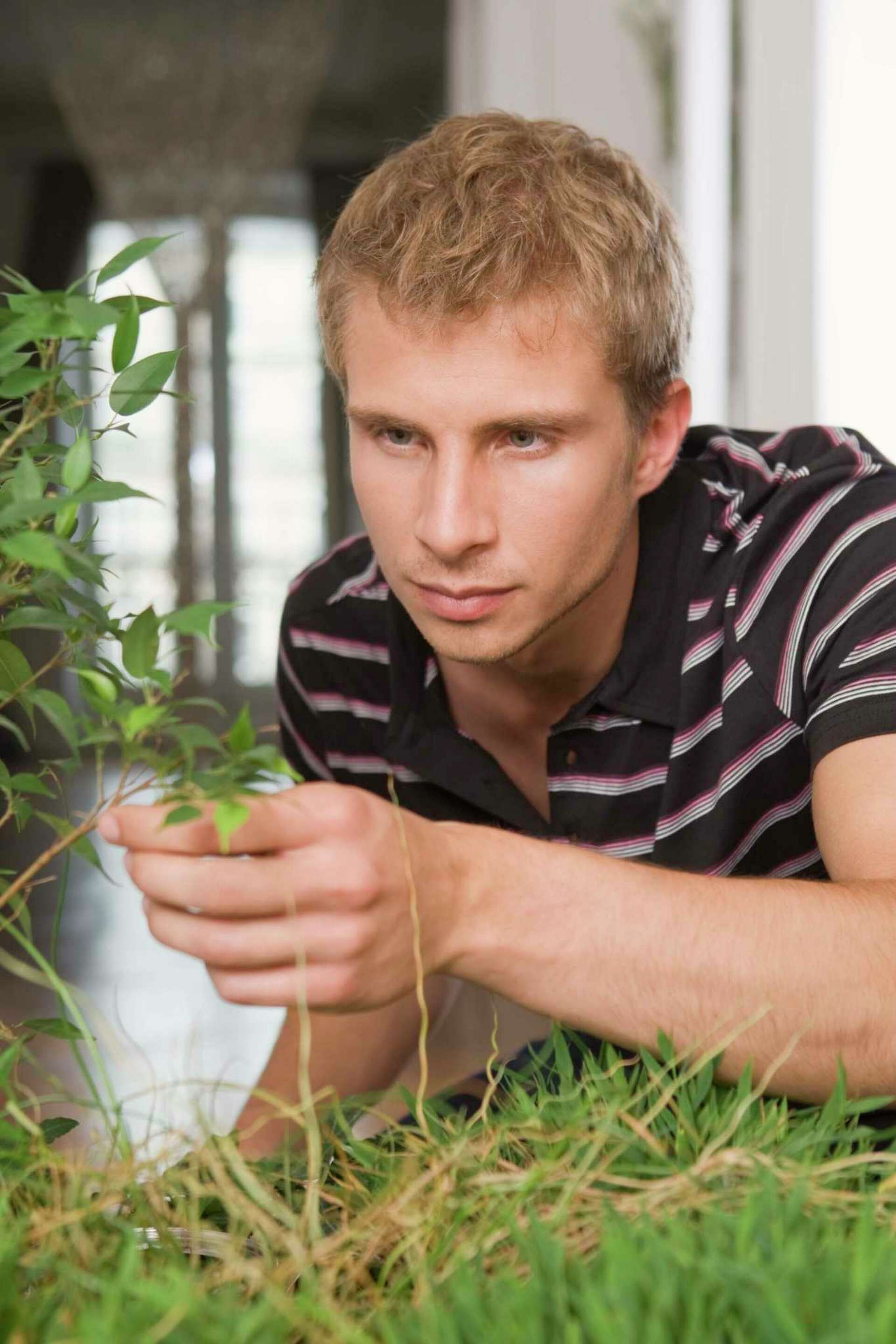 Comparative Salaries of Horticulture Careers