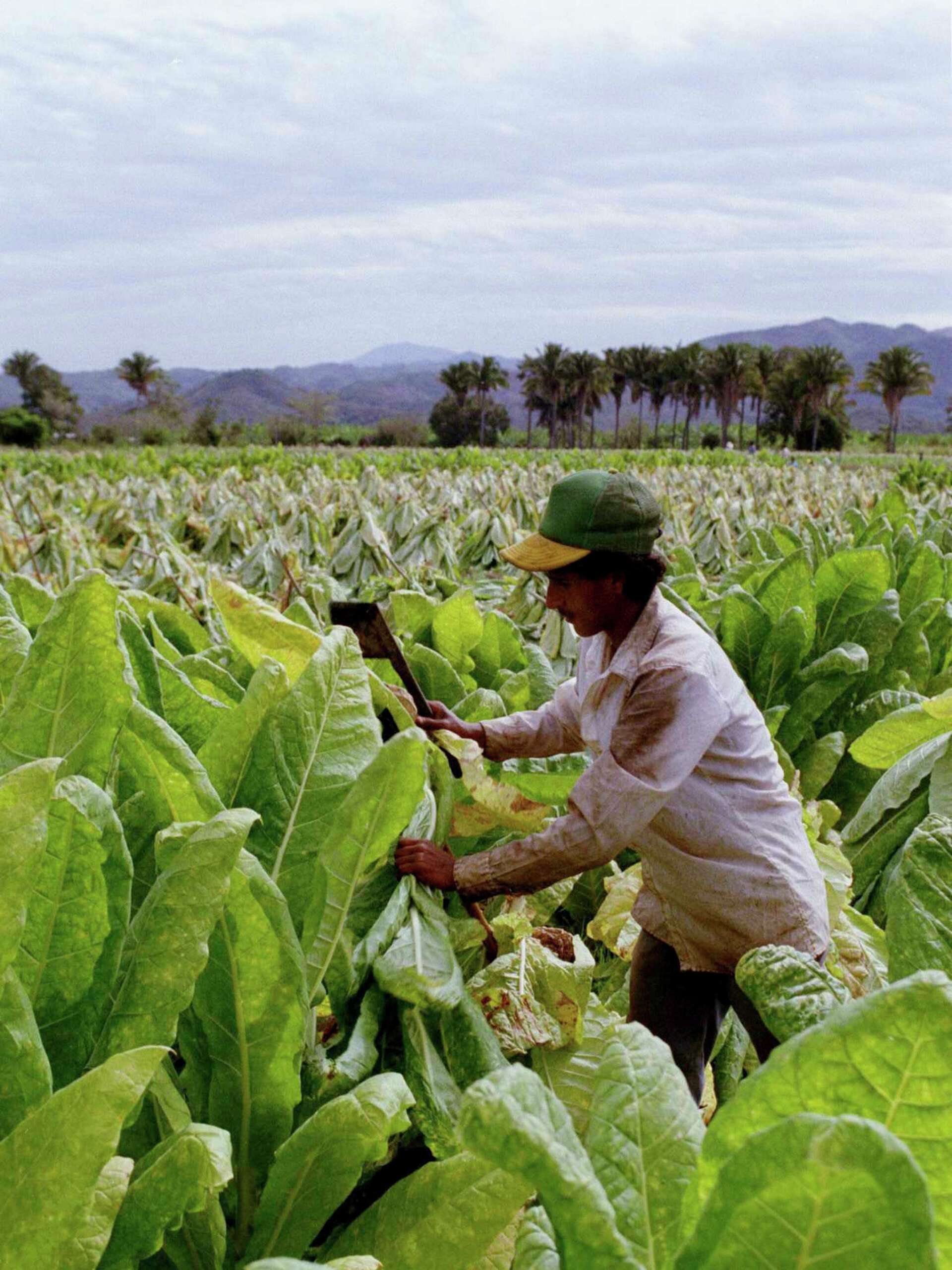 tobacco careers lorillard company _Job Opportunities ITG Brands, LLC Careers