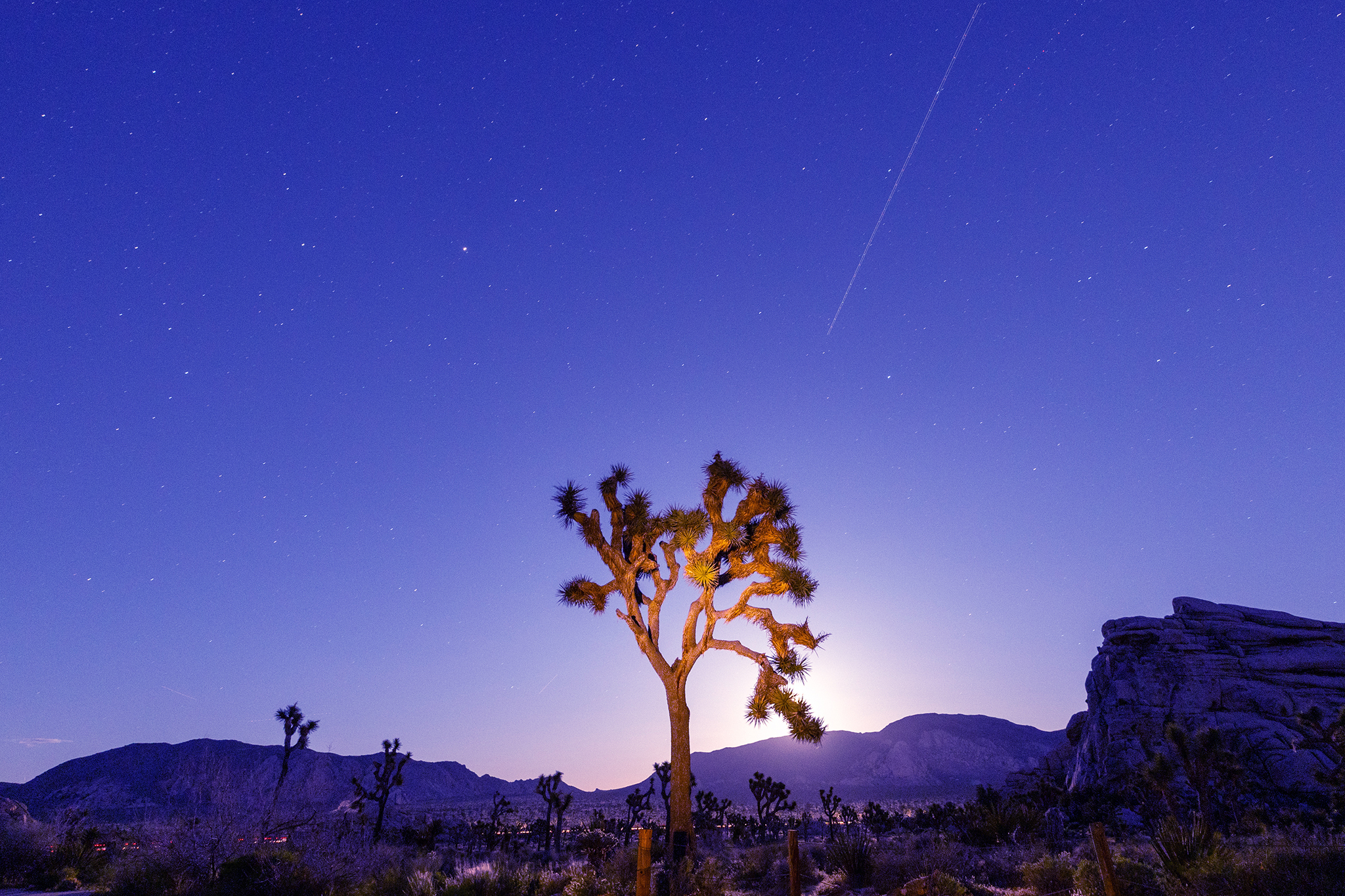 Calif. national park closes roads ahead of ‘best meteor shower of the