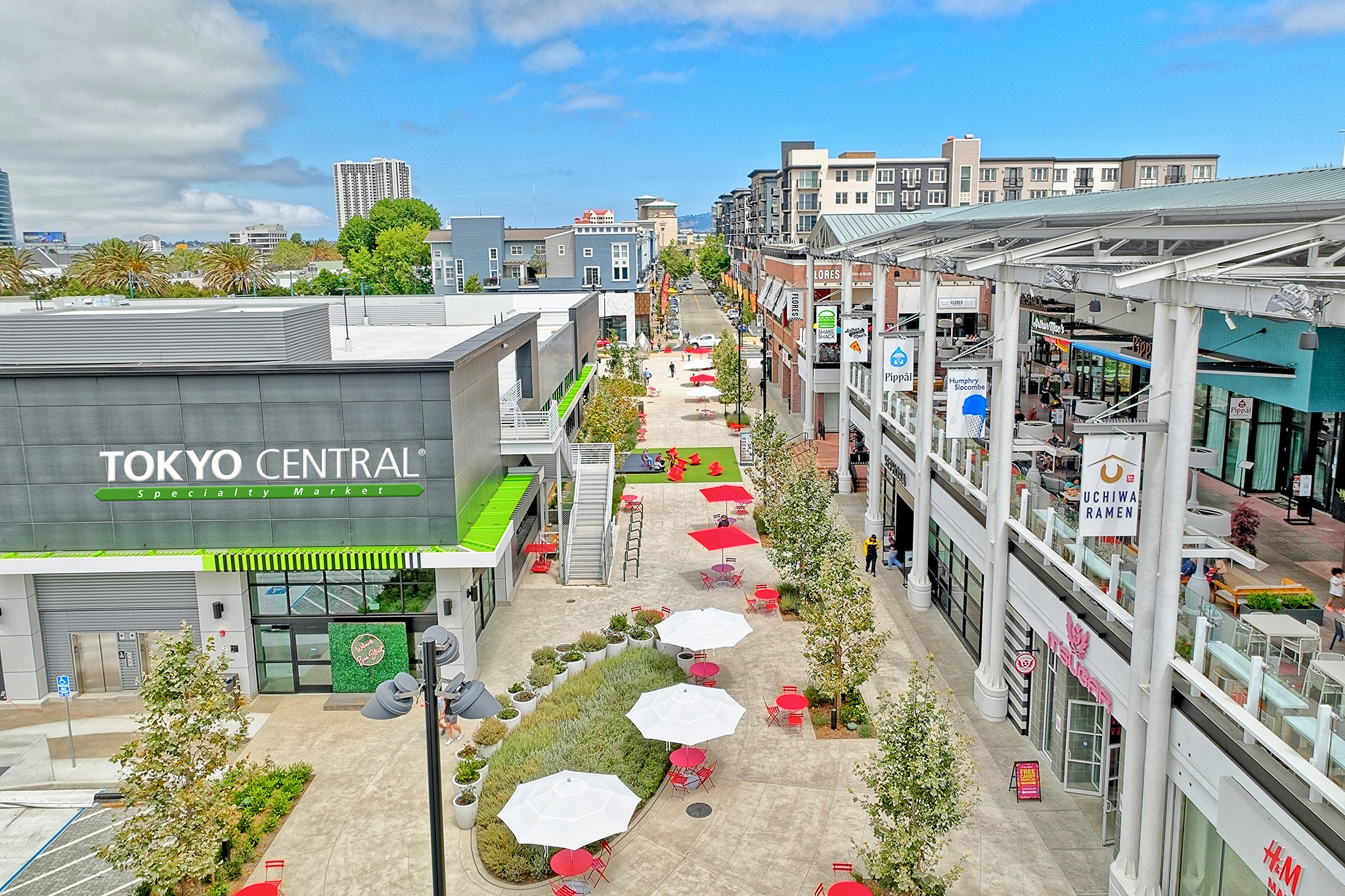 THE ALFEE 24th Summer 2005 TOKYO BAY-ST… THE ALFEE 24th Summer 2005 TOKYO BAY-ST… 23rd Summer 2004