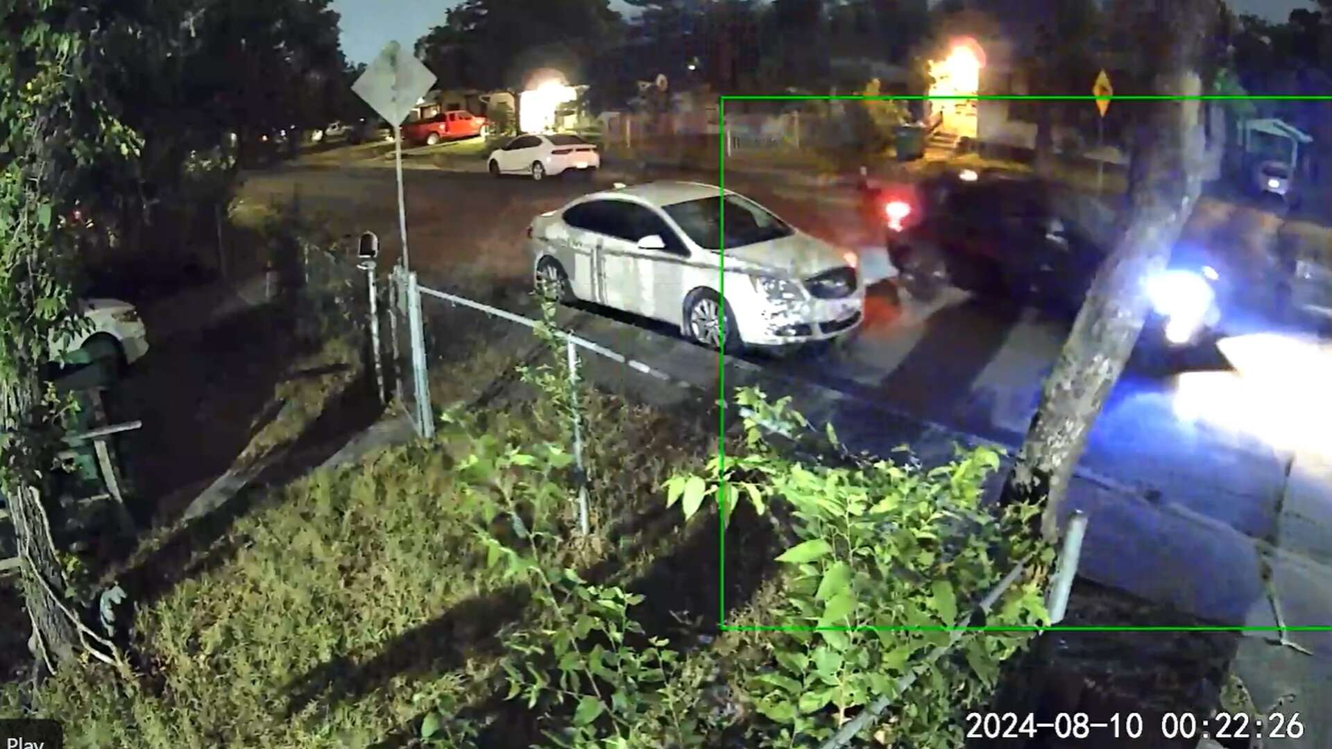 Police investigating after dogs are shot and killed on North Side