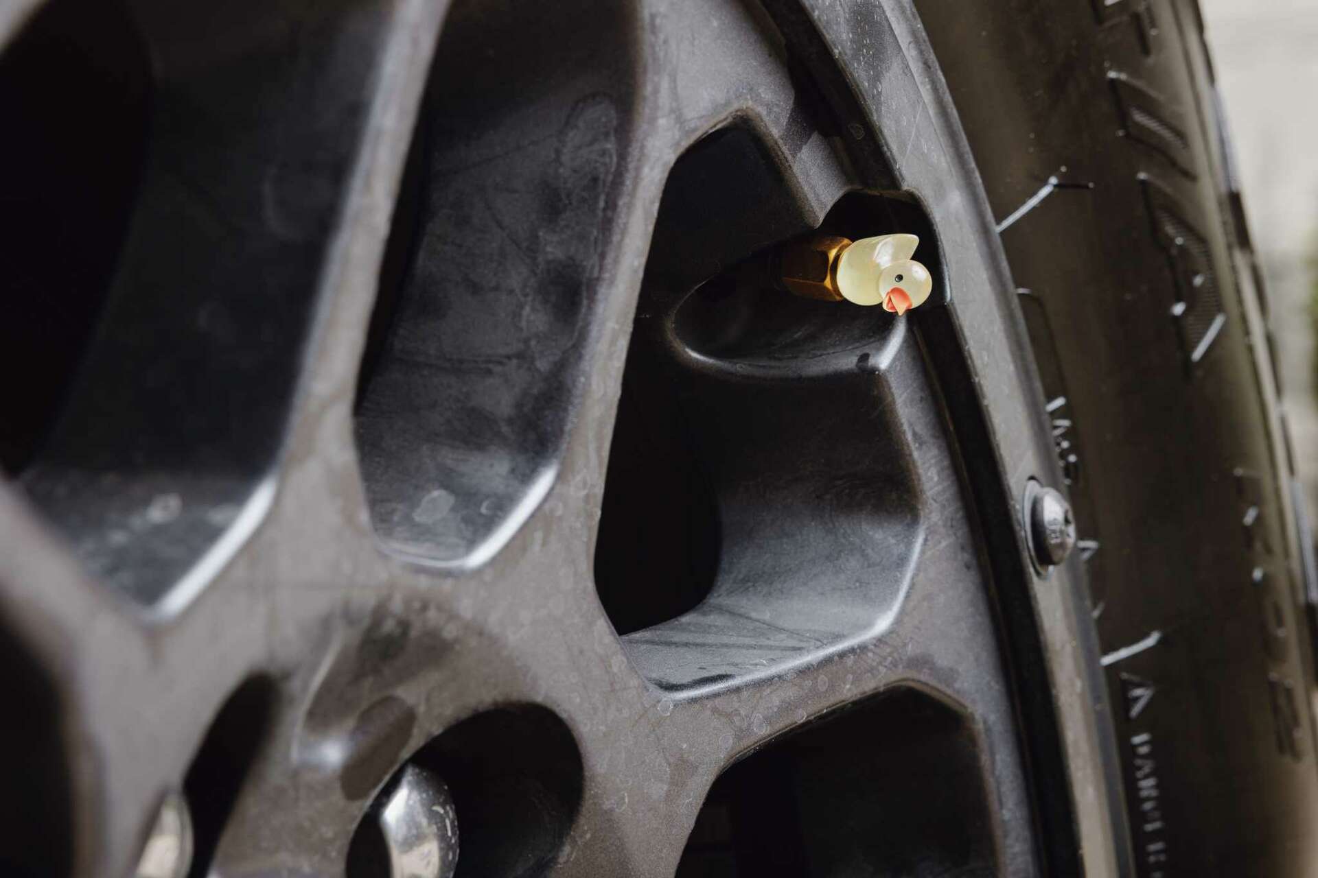 Jeep ducking? Here's why Jeeps have rubber ducks on dashboards.