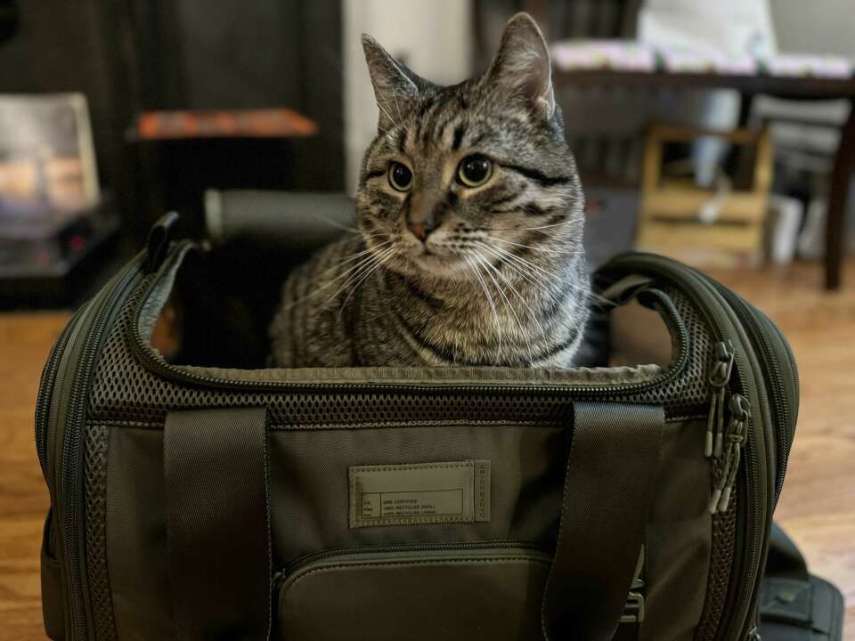 Dog Carriers Cat Carrier For 15 Lb Cat Large Machamie Luxury Pet