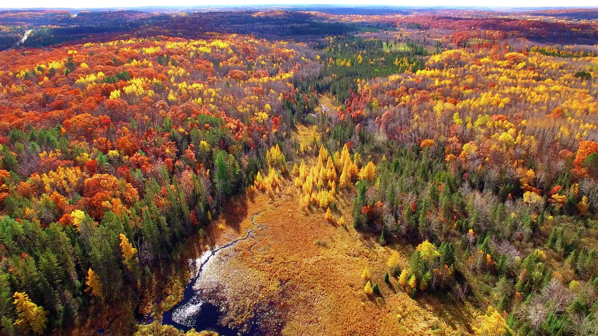 Warmer-than-normal fall likely in Michigan