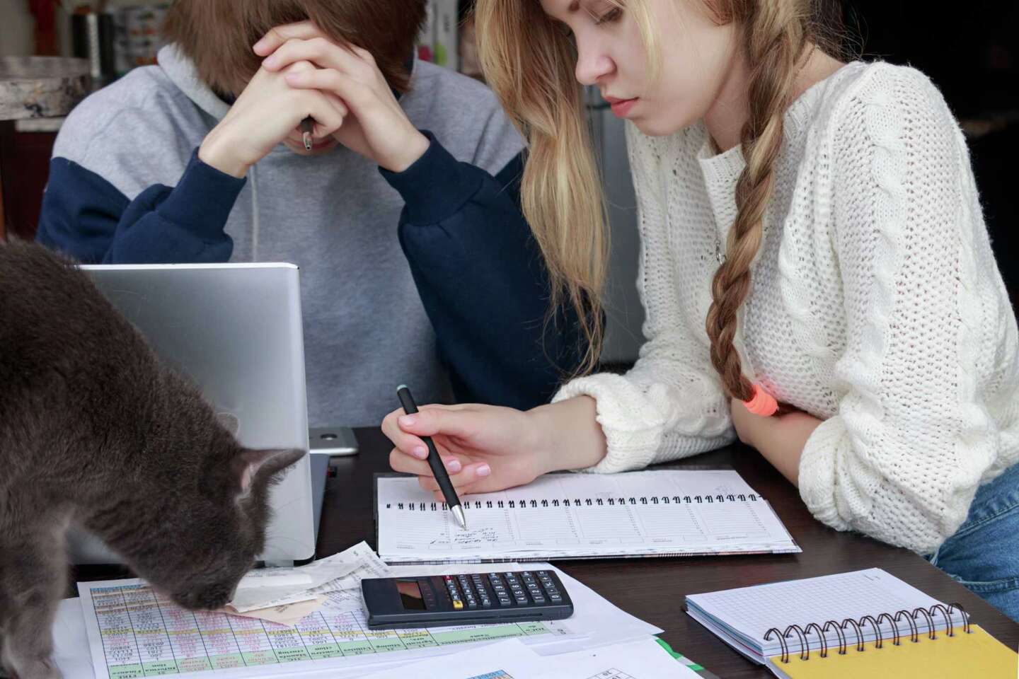 How to Calculate Total Revenue on a Financial Statement